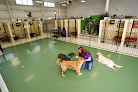 Pet boarding services Pet Palace - Columbus in Columbus in Franklin