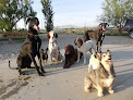 Pet boarding services Pet Palace | Emmett Id Dog Grooming & Boarding in Emmett in Idaho
