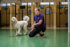 Pet boarding services Pet Palace - Indianapolis in Indianapolis in IN