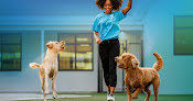 Pet boarding services Pet Paradise Columbia in Columbia in Columbia