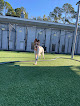 Pet boarding services Pet Paradise Jacksonville Airport in Jacksonville in FL