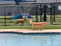 Pet boarding services Pet Paradise Lake Buena Vista in Orlando in Florida