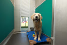 Pet boarding services Pet Paradise Lakewood Ranch in Bradenton in Florida