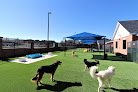 Pet boarding services Pet Paradise Peachtree City in Sharpsburg in Georgia