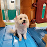 Pet boarding services Pet Paradise Snellville in Snellville in Gwinnett