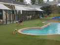 Pet boarding services Pet Paradise St. Augustine in St. Augustine in Florida