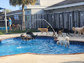 Pet boarding services Pet Paradise Wesley Chapel in Wesley Chapel in Florida
