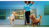Pet boarding services Pet Paradise Woodstock in Woodstock in Cherokee
