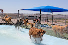 Pet boarding services Pet Planet Hotel And Day Camp in Las Cruces in NM