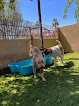 Pet boarding services Pet Play House in Phoenix in Arizona