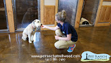 Pet boarding services Pet Ranch At Millwood in Springfield in MO