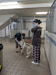Pet boarding services Pet Resort in Haines City in FL