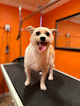 Pet boarding services Pet Rush Inn in Burbank in California