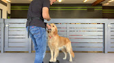 Pet boarding services Pet Service Solutions in Pomona in CA