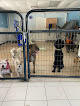 Pet boarding services Pet Stop Grooming And Boarding, Llc in Cocoa in FL