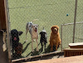 Pet boarding services Pet Vacations in Irmo in South Carolina