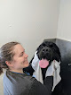 Pet boarding services Pet Wash Express in South Burlington in Vermont