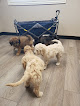 Pet boarding services Petcare Animal Hospital in South Jordan in Salt Lake
