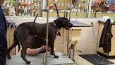 Pet boarding services Petco in Meridian in Lauderdale