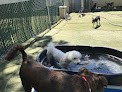 Pet boarding services Pete And Mac's Pet Resorts in Lenexa in KS