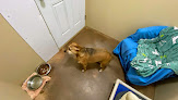 Pet boarding services Peters Creek Pet Boarding in Chugiak in Alaska