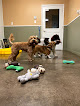 Pet boarding services Petite Paws Pet Hotel in Dubach in Louisiana
