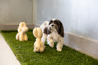 Pet boarding services Petite Pup in Scottsdale in Arizona