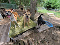Pet boarding services Petropolis Pet Sitting in Jonesboro in Clayton