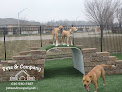 Pet boarding services Pets & Company Llc in Chesterfield in St. Louis