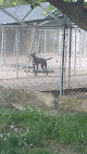 Pet boarding services Pets Frolic Inn in Brentwood in CA
