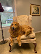 Pet boarding services Pet's Night Out in Ellijay in GA