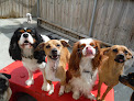 Pet boarding services Pets R People 2 - Doggie Daycare & Boarding in Knoxville in Tennessee