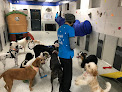 Pet boarding services Petsburgh Pet Care in Lafayette in Indiana