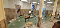 Pet boarding services Petshotel Overland Park in Overland Park in KS