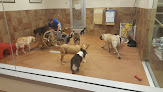Pet boarding services Petsmart in Anchorage in Alaska