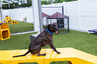 Pet boarding services Petsuites Baton Rouge in Baton Rouge in Louisiana
