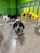 Pet boarding services Petsuites Blaine in Blaine in Minnesota