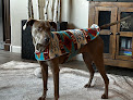 Pet boarding services Petsuites Cave Creek in Cave Creek in Arizona
