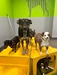 Pet boarding services Petsuites Chandler in Chandler in Chandler, AZ