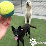Pet boarding services Petsuites Erlanger in Erlanger in Kentucky
