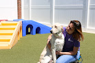 Pet boarding services Petsuites Gahanna in Columbus in OH