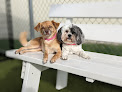 Pet boarding services Petsuites Hamburg in Lexington in Kentucky