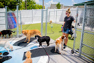 Pet boarding services Petsuites Indianapolis Northwest in Indianapolis in Indiana