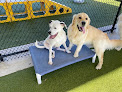 Pet boarding services Petsuites Johns Creek in Suwanee in Forsyth