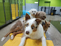 Pet boarding services Petsuites Naperville in Naperville in IL