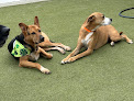 Pet boarding services Petsuites Shawnee in Shawnee in Kansas