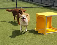 Pet boarding services Petsuites Winter Springs in Oviedo in Seminole
