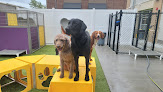 Pet boarding services Petsuites Woodbury in Woodbury in Minnesota