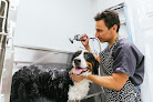 Pet boarding services Petvet Animal Hospital in Honolulu in Hawaii