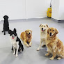 Pet boarding services Petz Plaza in Baton Rouge in Louisiana